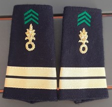 Fourreaux brodés or