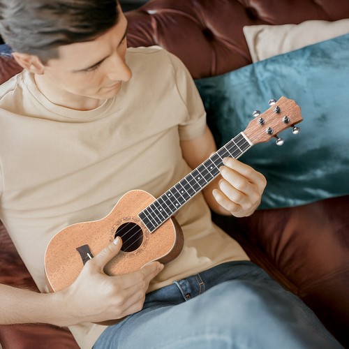 Concert ukulele mahogany - 23",
