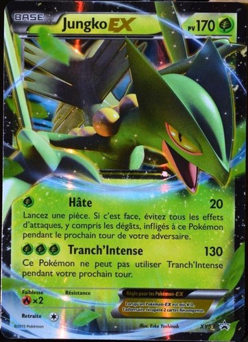 Carte pokémon xy53 - xy53, ex