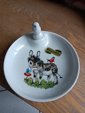 Assiette Bouillie Chauffante