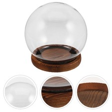 Cloche en verre : Cloche en verre avec fleurs préservées base – Vitrine