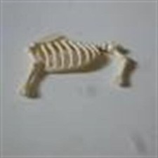 PLAYMOBIL piece rechange SQUELETTE CARCASSE ANIMAL WESTERN MINE PIRATE 3802 (2)