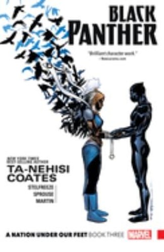 Black panther nation - a,