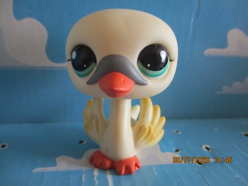 Petshop cygne 996 edition - petshop,