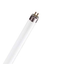 Tube Fluorescent T5 6W Blanc