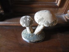 Champignons Deyrolle Pharmacie