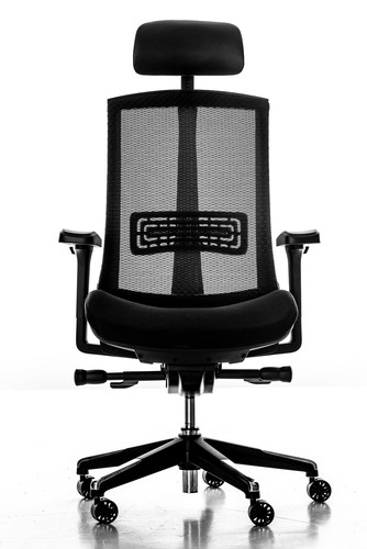 Fauteuil direction ottawa - fauteuil,