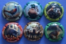 lot de 6 nouvelles capsules