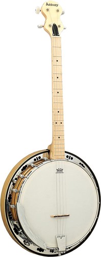 Ashbury tenor banjo - ashbury, ab-65