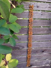 Ruban en métal étoiles