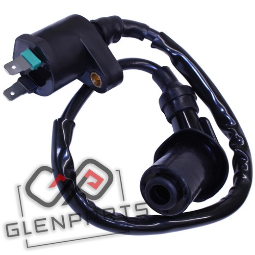 Ignition coil for polaris - for,