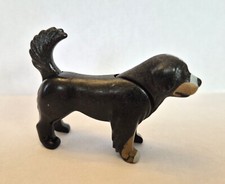 CHIENS BOUVIER BERNOIS ADULTE