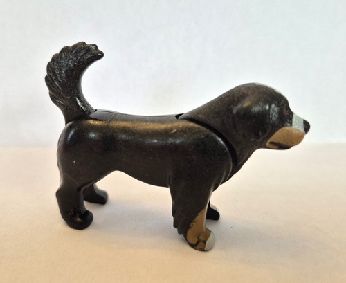 Chiens bouvier bernois adulte - bouvier,