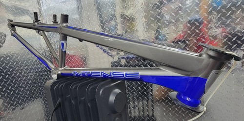 Intense phenom mini - mini, xl