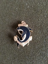 INSIGNE  -  21 é RIC - RGT