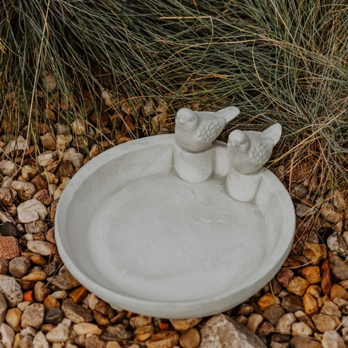Coupe boire oiseau - à, bain