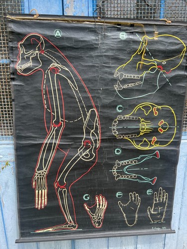 Affiche ancienne scolaire - affiche,