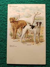 CPA - ILLUSTRATEUR BUNGARTZ -