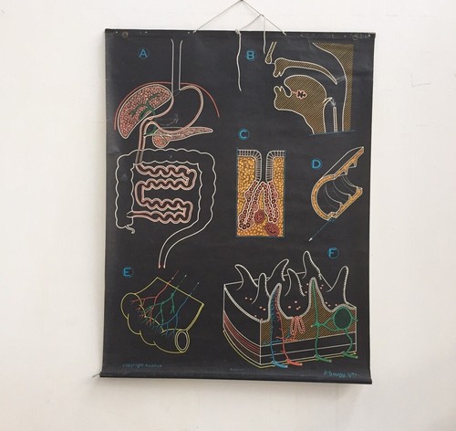 Affiche scolaire ancienne dr - affiche, ancienne,