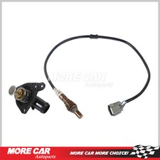 Thermostat Housing Assembly w/