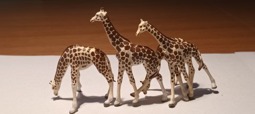 Lot girafes ho - de, 4