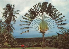 DOM-TOM-MARTINIQUE BASSE