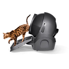 Rampe d'accès Litter-Robot 3