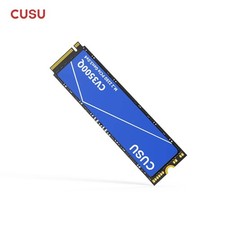 CUSU SSD M2  interne 256 GO