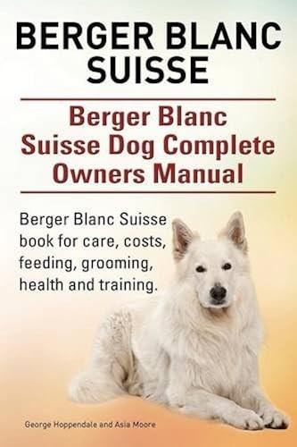 Berger blanc suisse - suisse.,