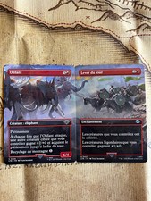 Duo de Cartes Full Art MTG Le Seigneur Des Anneaux