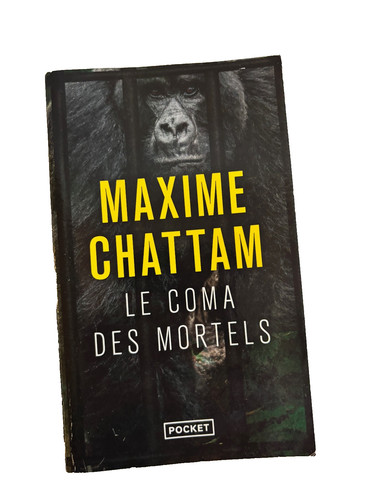 Maxime chattam le - maxime, des