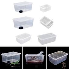 Terrarium transparent pour