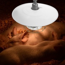 Lampe Chauffante Poulailler