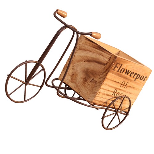 Set fer tricycle plante - ,