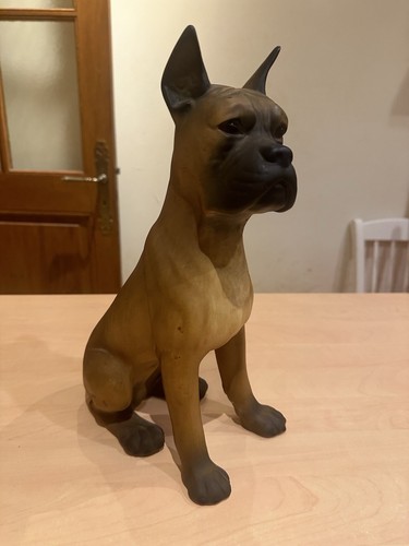 Adorable grand chien goebel - adorable,