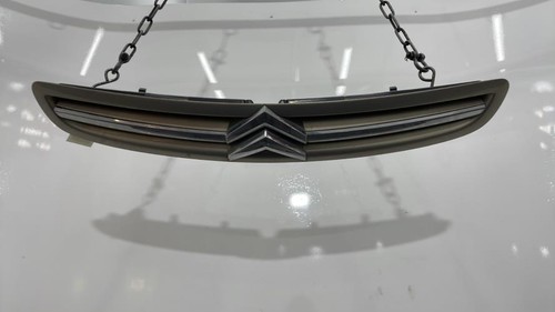 Calandre citroen xsara picasso - calandre,