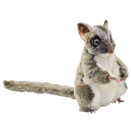 Hansa sugar glider - glider, 22