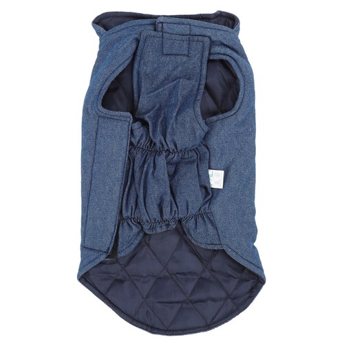 Veste automne pour chien - d'automne,