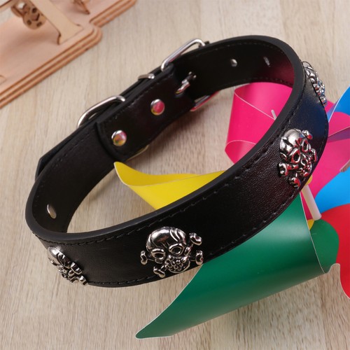 Collerette pour chien collier - pour,