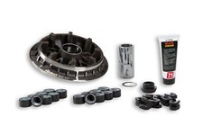 Variateur Malossi 5118054