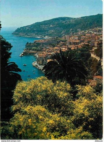 Carte postale - carte,