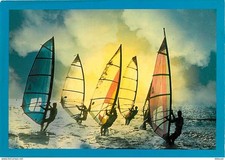 Sport - Planche à Voile - CPM