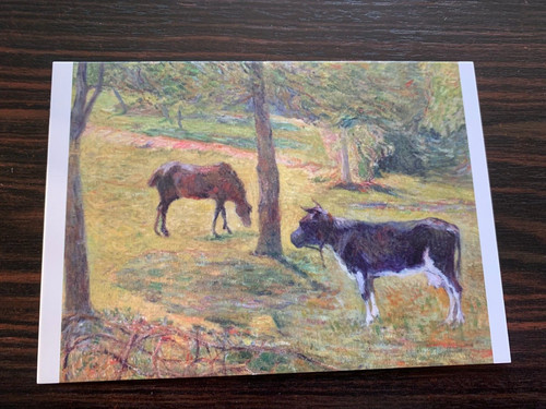 Carte postale 14x10 - 14x10, musee