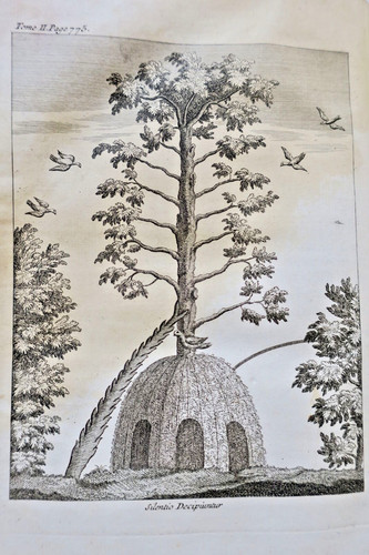 Maison rustique économie - ou,