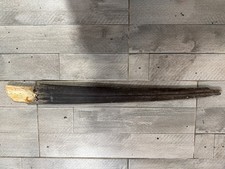 véritable rostre BRUT