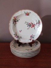 6 Assiettes Creuses Limoges Bernardaud Modèle Bengali Oiseaux du paradis