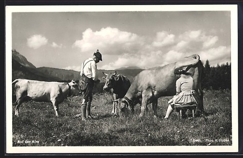 Sennerin traite ses - , vaches