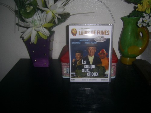 Dvd soupe aux - -,