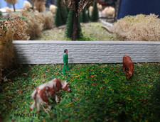 ho lot 4 murs pierre couvre