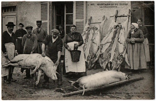 Cpa montagnes doubs - 25,
